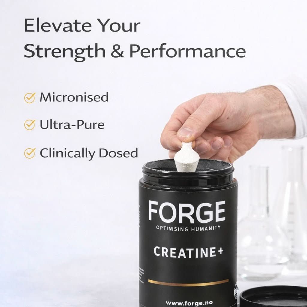 Forge Creatine+ Performance Blend (500g) - Forge